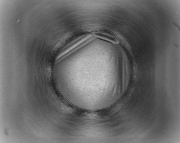 X0000099480113200805231904