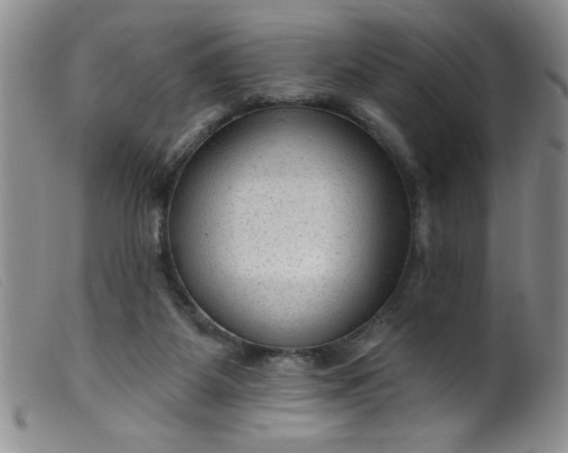 X0000099480115200805231904