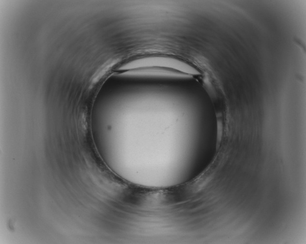 X0000099480116200805231904