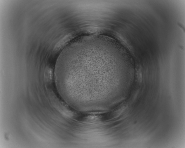 X0000099480117200805231904