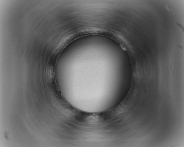 X0000099480119200805231904