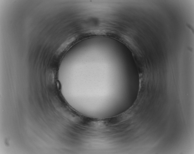 X0000099480120200805231904