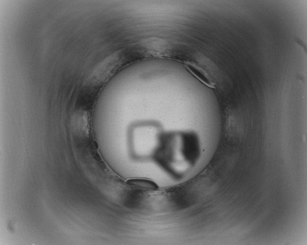 X0000099480121200805231904