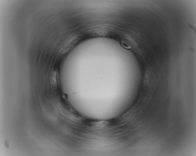 X0000099480122200805231904