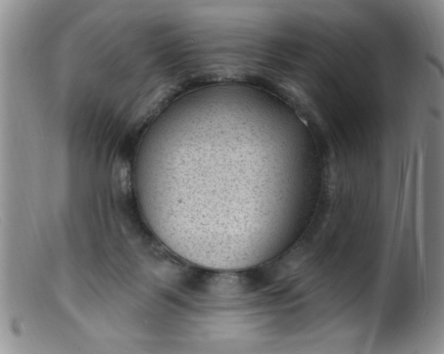 X0000099480123200805231904