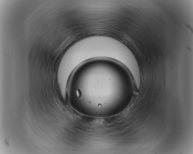 X0000099480124200805231904