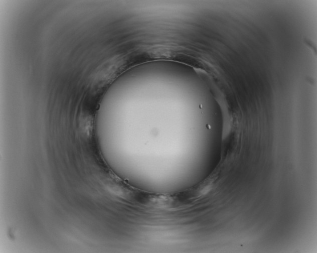 X0000099480125200805231904