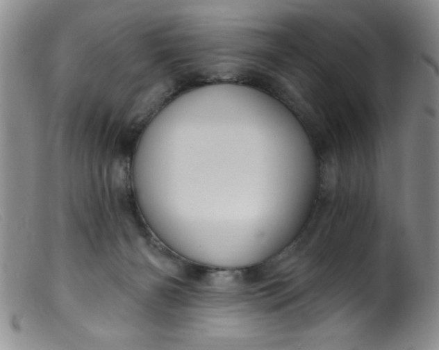 X0000099480126200805231904