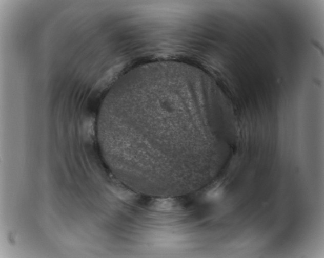 X0000099480127200805231904