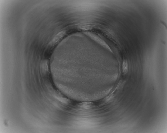 X0000099480128200805231904