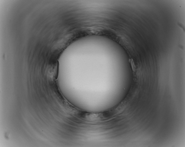 X0000099480129200805231904