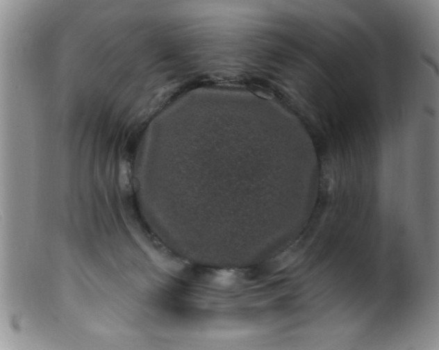 X0000099480130200805231904