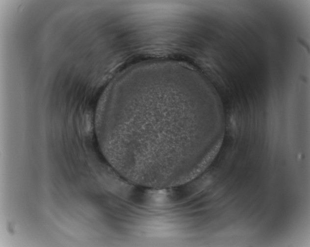 X0000099480131200805231904