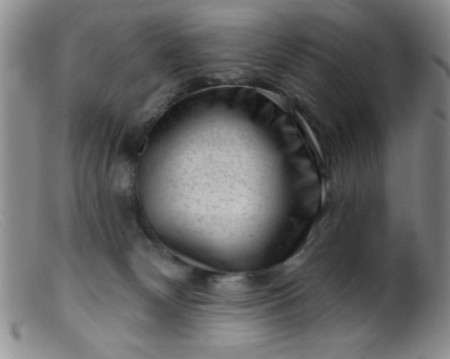 X0000099480132200805231904