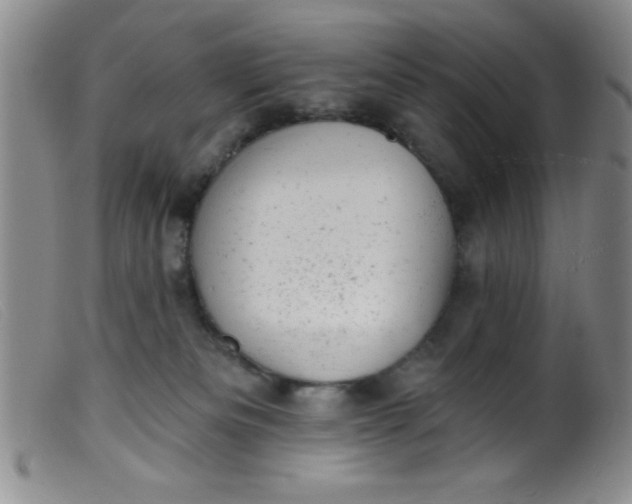 X0000099480133200805231904