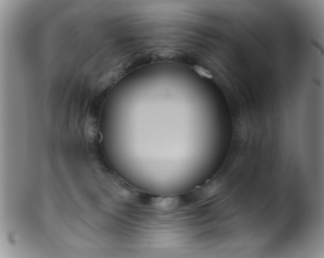 X0000099480135200805231904