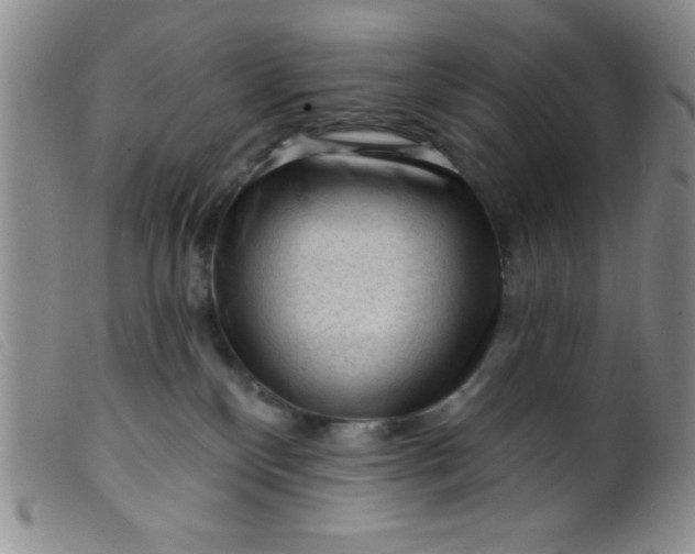 X0000099480136200805231904