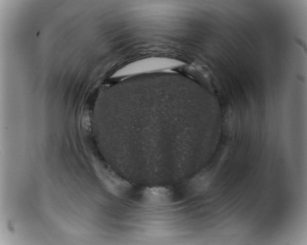 X0000099480137200805231904