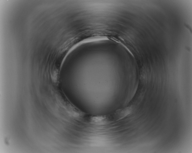 X0000099480139200805231904