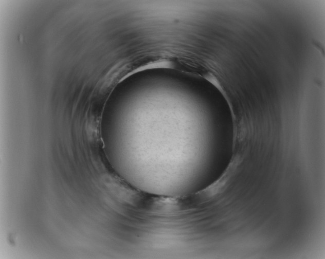 X0000099480140200805231904