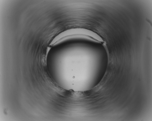 X0000099480141200805231904