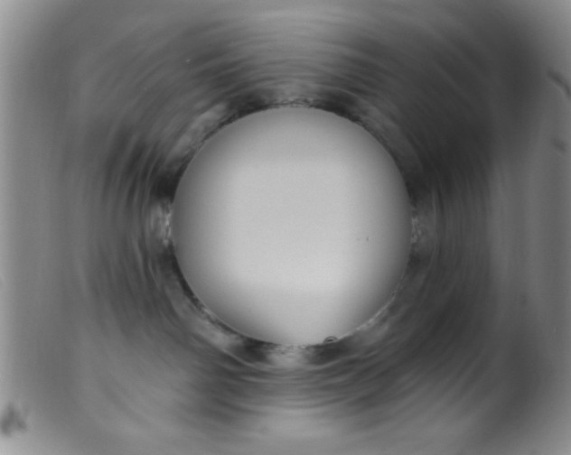 X0000099480142200805231904