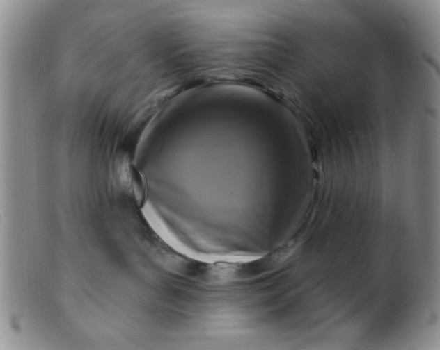 X0000099480143200805231904