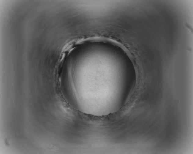 X0000099480144200805231904