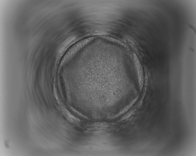 X0000099480145200805231903