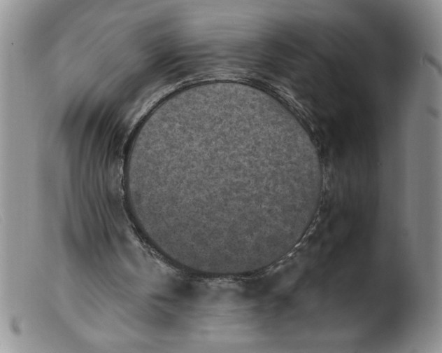 X0000099480146200805231903