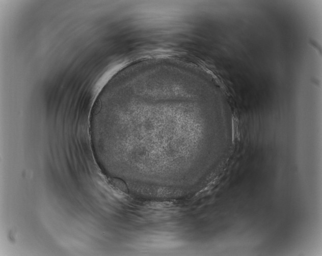 X0000099480147200805231903