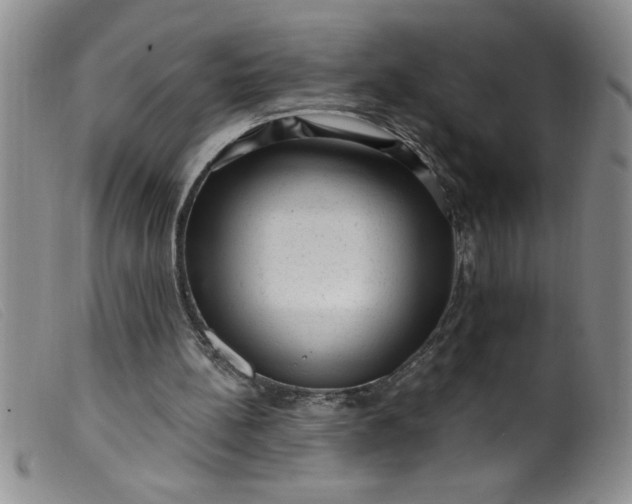 X0000099480148200805231903