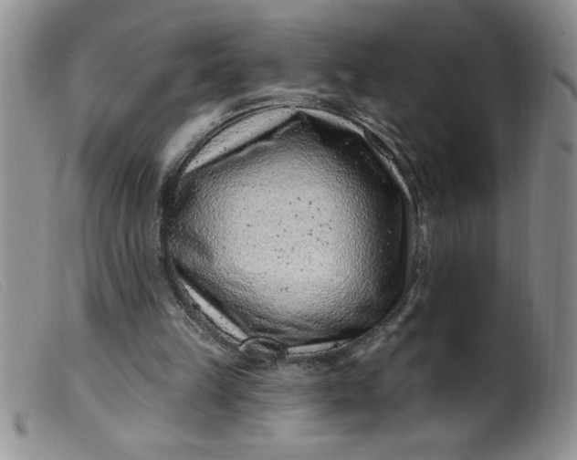 X0000099480149200805231903