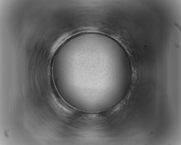 X0000099480151200805231903