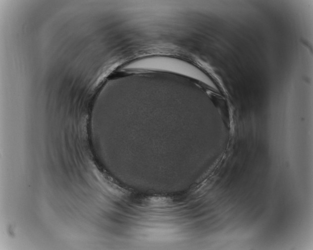 X0000099480154200805231903