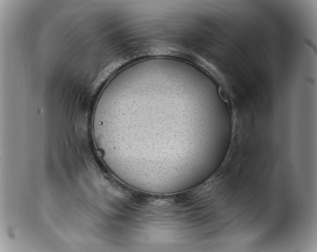 X0000099480155200805231903