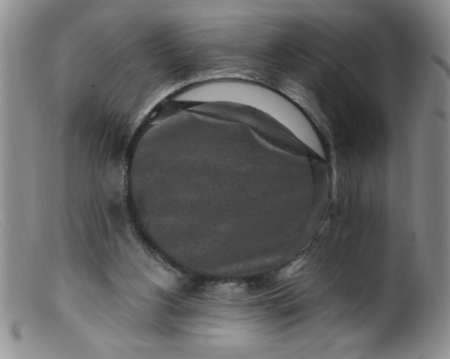 X0000099480156200805231903