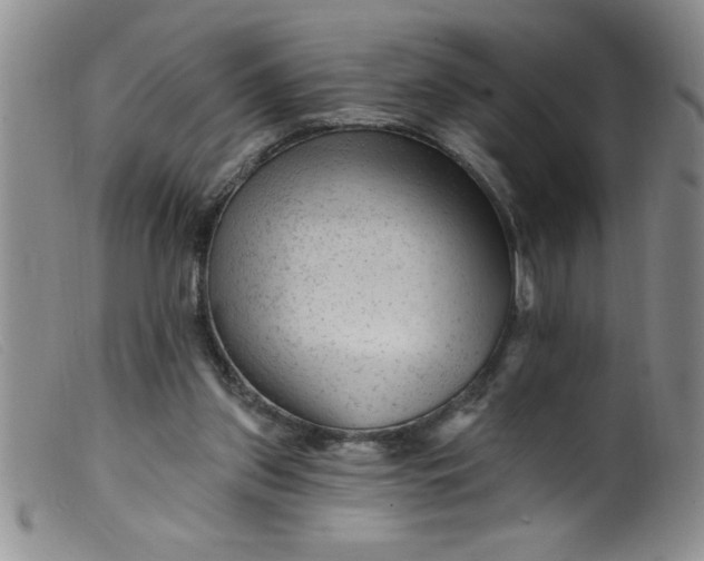 X0000099480157200805231904