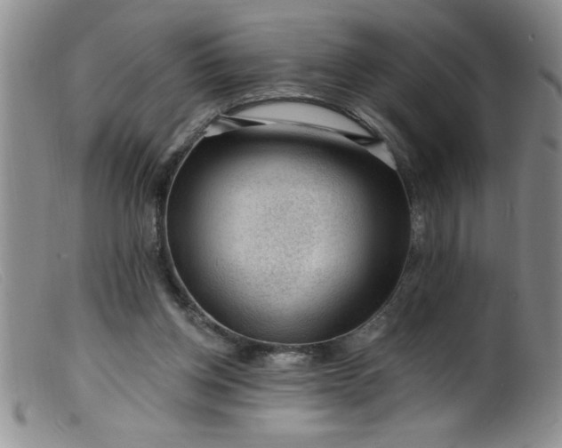 X0000099480158200805231904