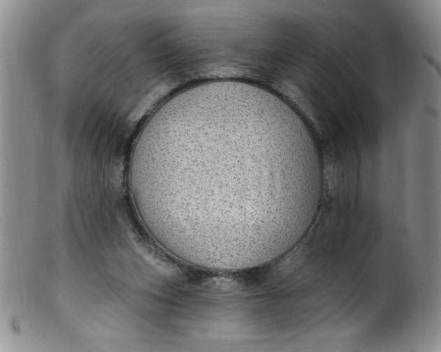 X0000099480159200805231904