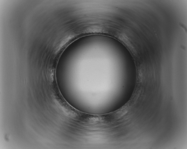 X0000099480160200805231904