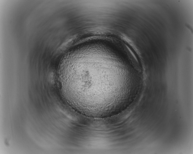 X0000099480161200805231904