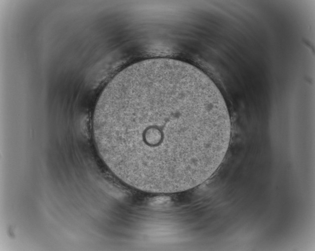 X0000099480162200805231904