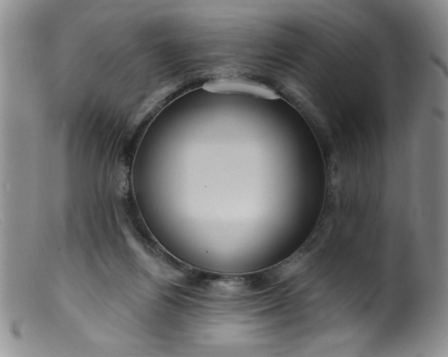 X0000099480164200805231904