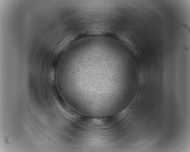 X0000099480166200805231904