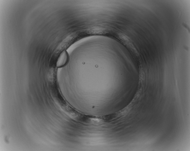 X0000099480167200805231904