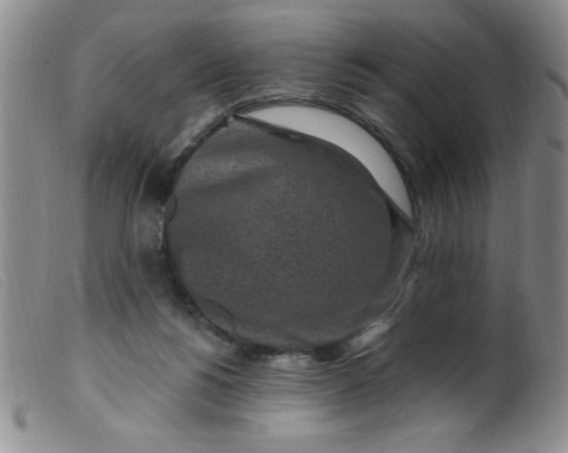 X0000099480168200805231904