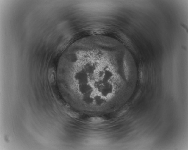 X0000099480169200805231904