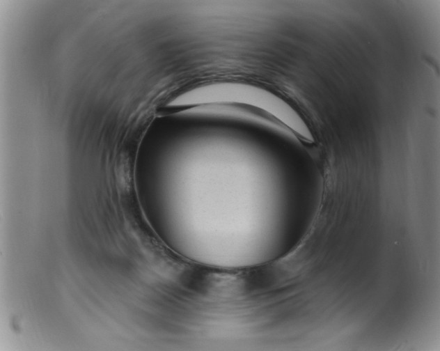 X0000099480170200805231904