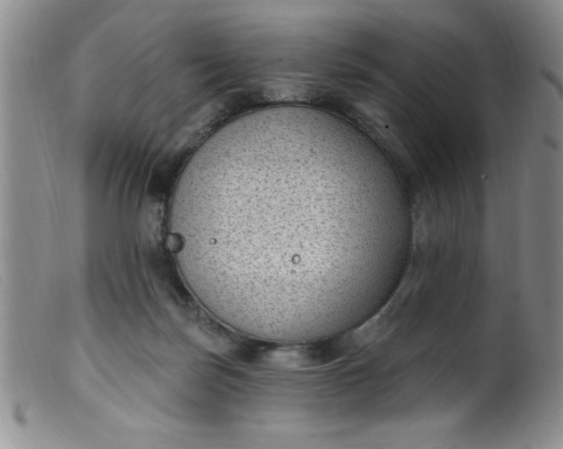 X0000099480171200805231904